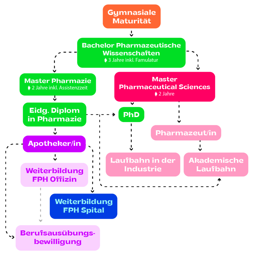 aufbau-des-pharmaziestudiums
